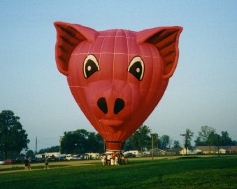 Hog Heaven