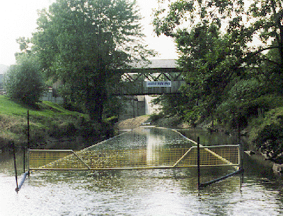 St. Marys River - Home of the Duck Race